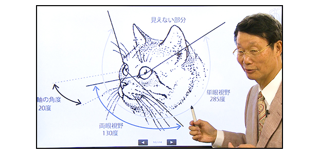 キャットケアスペシャリスト資格取得講座｜通信教育講座で資格なら「た 