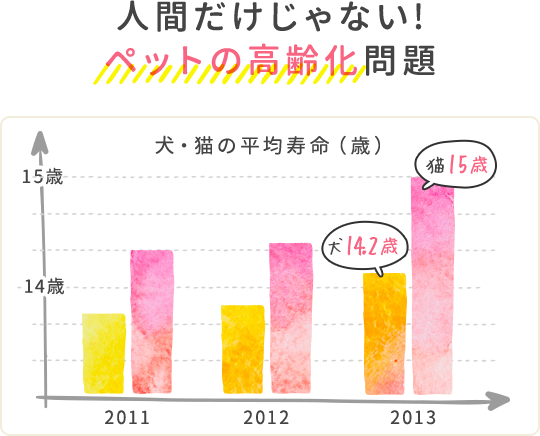 動物健康管理士・介護士資格を目指すための勉強なら、ヒューマン