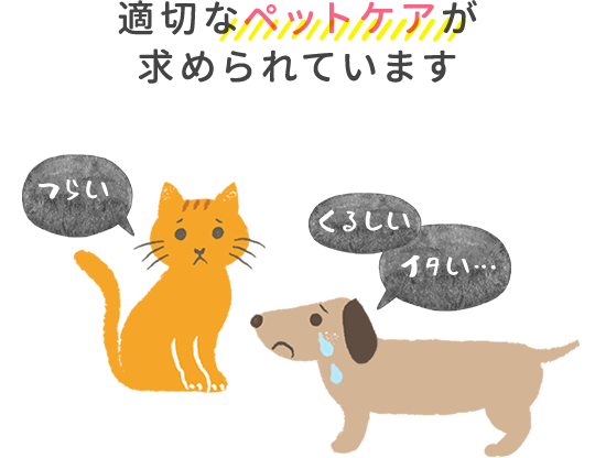 日本 ペット 技能 検定 協会 動物 取扱 コレクション 責任 者