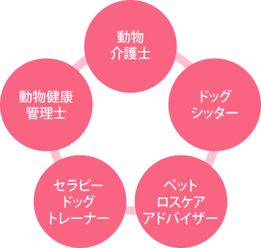 動物健康管理士・介護士資格を目指すための勉強なら、ヒューマン